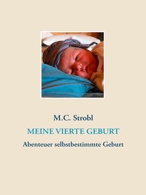 cover image of Meine vierte Geburt